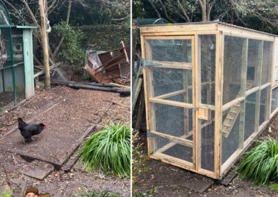 chicken Coop house custom built by wood.