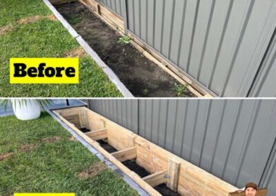 Before and after plant garden bed