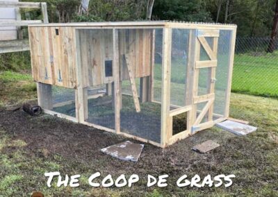 The Coop De Grass - chicken coop