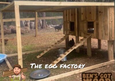 The Egg Factory - chicken coop design