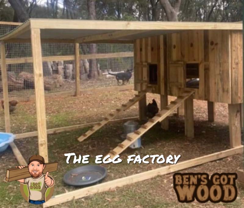 The Egg Factory - chicken coop design